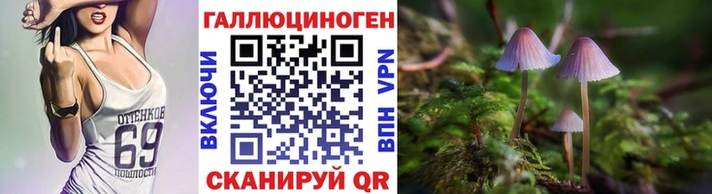 Купить  Неман  Псилоцибиновые грибы Psilocybine cubensis 